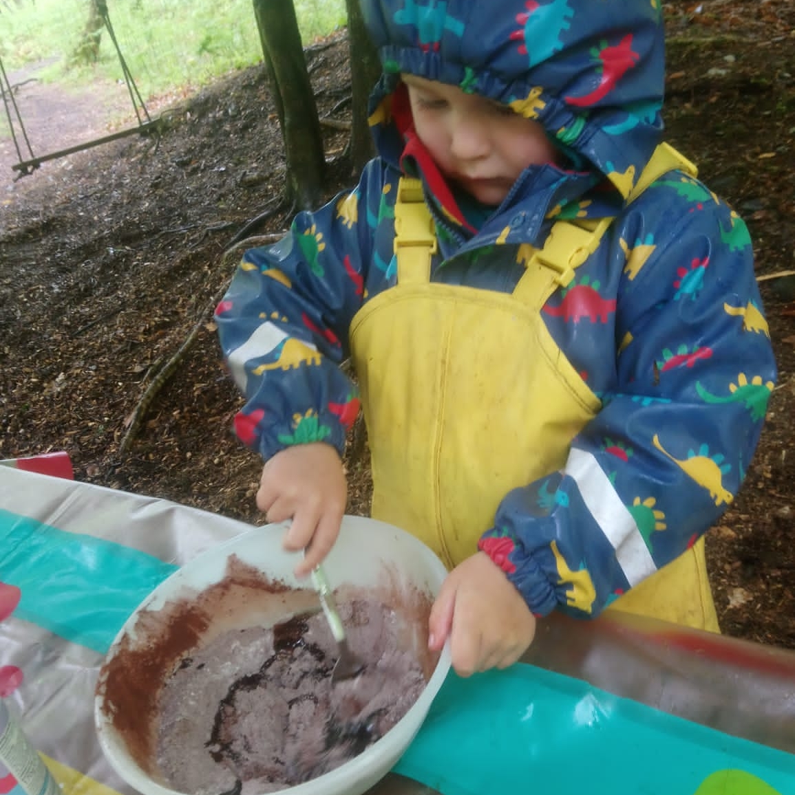 Image of child making Beech leaf chocolate biscuits