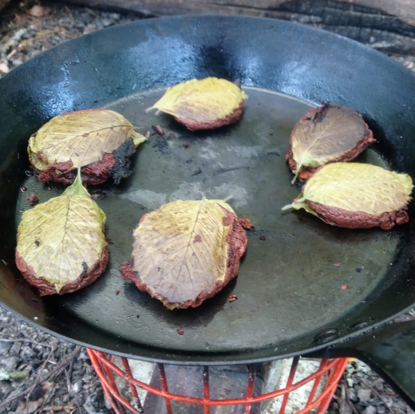 beach leaves chocolate biscuits cooking on the campfire